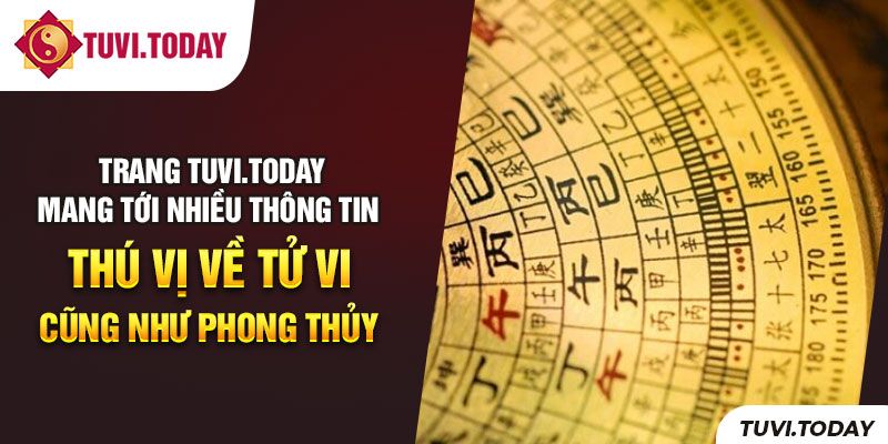 Tuvi.today mang lại nhiều thông tin liên quan tới tử vi và phong thủy